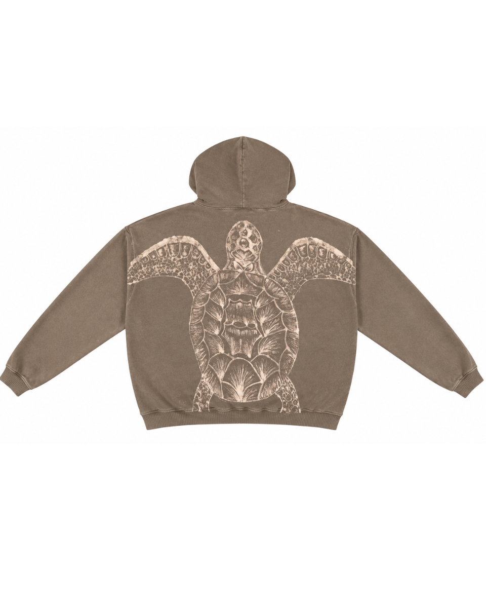 Turtle Graphic Hoodie